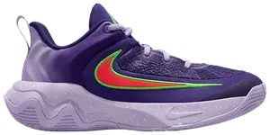 Кроссовки Nike Giannis Immortality 4 GS, фиолетовый