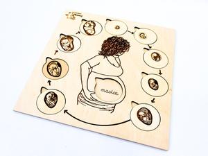 9 месяцев, 9 подвижных элементов с подписями, карточки. Inna marka