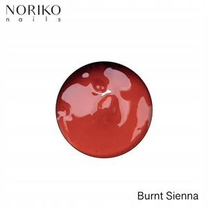 Noriko Paint Gel Burnt Sienna 5 г