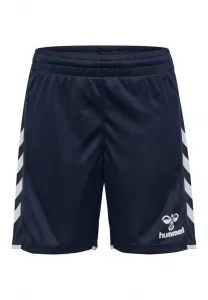 Спортивные штаны hmlcore 2.0 Hummel, Marine White