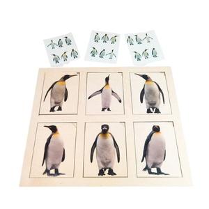 Пингвины, деревянный пазл, картографирование Inna marka