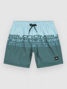 Пляжные шорты O'Neill Cali Stripe 14″ Kids Boardshorts, blue upside down