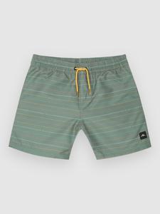 Пляжные шорты O'Neill Mix & Match Cali First 13'' Kids Boardshorts, lily pad first name strip