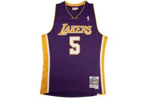 Майка баскетбольная Mitchell & Ness Robert Horry NBA Los Angeles Lakers 1999/2000 Swingman Tank Top Mitchell Ness