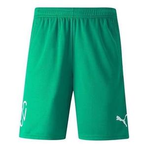 Шорты neymar jr football shorts 'green' Puma, зеленый