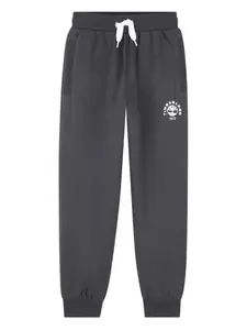 Спортивные брюки с логотипом Timberland Kids, серый