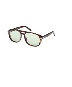 Солнцезащитные очки Rosco Tom Ford, коричневый