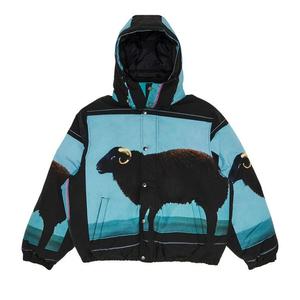 Куртка Supreme x Damien Hirst Down Puffer Jacket, Black