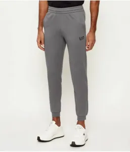 Спортивные штаны slim fit Ea7, серый