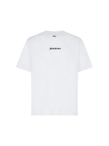 Футболка Dickies ENTERPRISE, белый