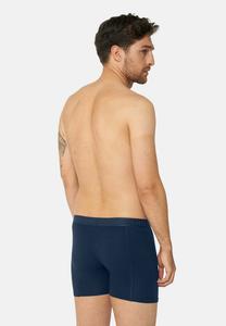 Трусики 3 PACK Danish Endurance, синий