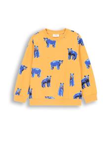 Рубашка с длинным рукавом Coccodrillo