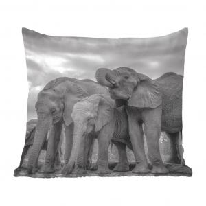 Декоративная подушка MuchoWow, подушка для дивана, декоративная подушка для гостиной, 60 x 60 см, слоны, пьющие воду, черно-белые - чехол на подушку - хлопчатобумажная ткань - декоративные чехлы на подушки