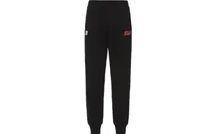 Трикотажные спортивные штаны мужские черные Evisu, черный