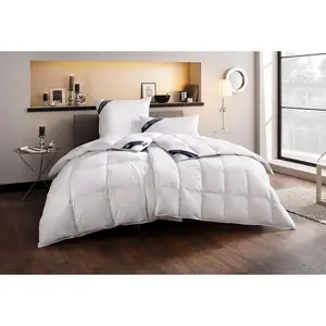 Пуховое одеяло + подушка Haeussling «Kristall Edition», (экономный комплект), экономный комплект разных классов тепла, белый