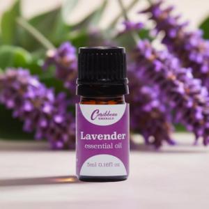 Эфирное масло лаванды 10 мл в прозрачной упаковке Caribbean Emerald, прозрачный