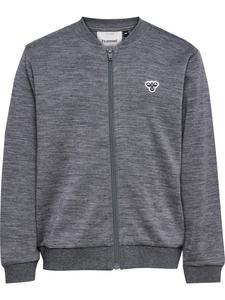 Толстовка с капюшоном на молнии Hummel, серый