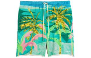 Повседневные шорты мужские зеленые Celine, зеленый