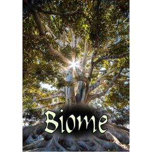 Настольная игра Biome Rpg