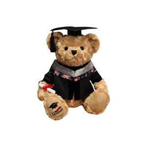 Плюшевая кукла Doctor Bear в мантии бакалавра высотой 30 см Bitter purchase