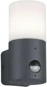 TRIO Leuchten Настенный светильник для наружного освещения "HOOSIC", 1 лампочка, лампа E27 | без лампочек, включая датчик движения Ø 8,5 см, Высота: 17,5 см, антрацит/белый
