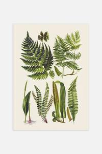 Винтажный осенний плакат Postery, 30x40 см, зеленый