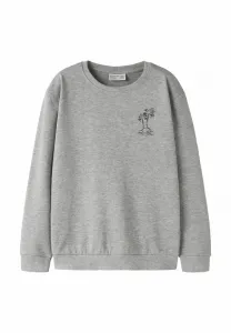 Толстовка стандартного кроя Name It, Grey Melange