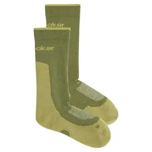 Носки Icebreaker Merino Hike+ Light Crew, зеленый