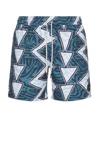 Классические плавательные шорты Coaster Maui And Sons, charcoal