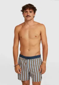 Полосатые плавательные шорты o'riginals O'Neill, Blue Originals Stripe