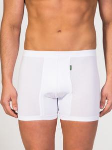 Боксеры zd ZERO DEFECTS Helios fly front boxer, белый