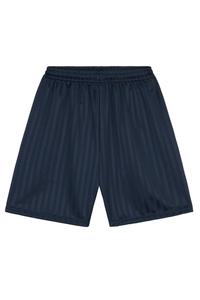 Полосатые спортивные шорты Shadow CityComfort, синий