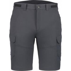 Шорты Брасвелл Icepeak, серый