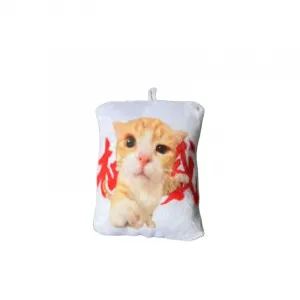 Плюшевый кулон с динамиком abstract fun german authority raccoon cat высотой 8см BUDUO