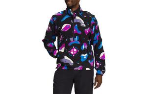 Куртка мужская многоцветная The North Face, цвет Multicolor