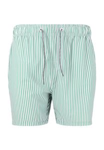 Купальные шорты Kenny с классическим полосатым узором CRUZ, цвет Print 3506