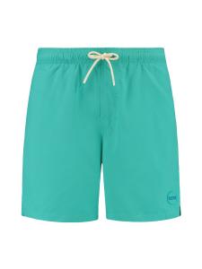 Пляжные шорты Shiwi Mike, Aqua
