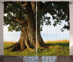 Шторы ABAKUHAUS Natural Rustic, Majestic Oak Estonia Rural, универсальные ленточные шторы для гостиной с петлями и крючками, 280 x 245 см, цвет: папоротниково-зеленый, какао Abakuhaus