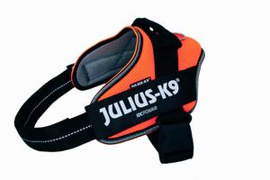 Летняя шлейка Julius K9 оранжевого цвета Powair Т-0 Julius K9, цвет оранжевый