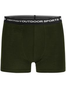 Normani Спортивное белье 'Adelaide' в зеленом цвете