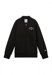 Толстовка с капюшоном на молнии Champion Authentic Athletic Apparel, черный