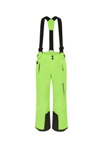 Лыжные брюки с принтом ПЛЮС-МИНУС CHIEMSEE, цвет Green Gecko