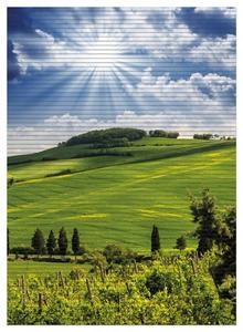 Коврик для душа Wallario, нескользящий коврик, коврик для ванной, коврик для двери, яркое солнце, размер ок. 90 х 65 см, зеленый