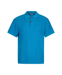 Свитер-Поло с принтом Stretto di Messina Roberto Cavalli, синий