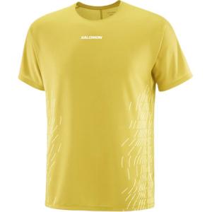 SALOMON Футболка мужская Water Celery Green/Gray White C27002