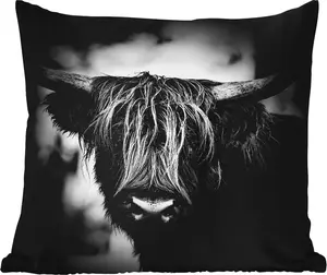 Подушка для улицы - Шотландский горный скот - Легкая - Портрет - Природа - 50x50 см - Водонепроницаемая - Подушка для отдыха - Удобная - Подушка с рисунком MuchoWow