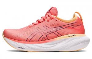 Кроссовки для бега Asics GEL-Nimbus 25 женские