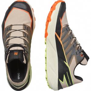 Мужские кроссовки для трейлраннинга Thundercross в цвете черный/тихий оттенок/неоновое пламя SALOMON