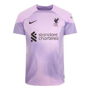 Футболка 22 Nike, фиолетовый