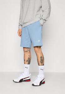 Спортивные шорты Puma LOGO SHORTS , Cool Blue/Blue